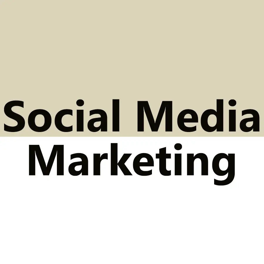 DIGITAL MARKETING ANALYST IN KOTTAYAM services (5)